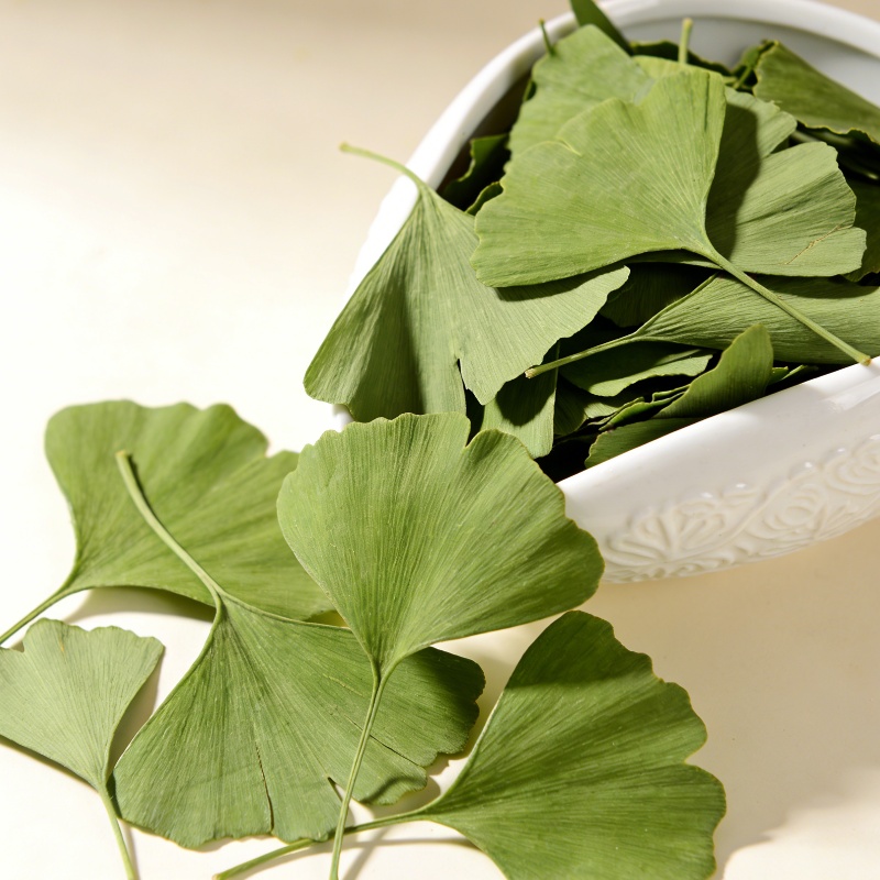 Quality Home Fragrance - Hochwertige getrocknete Ginkgo-Biloba-Blätter für Schönheit, Gesundheit,